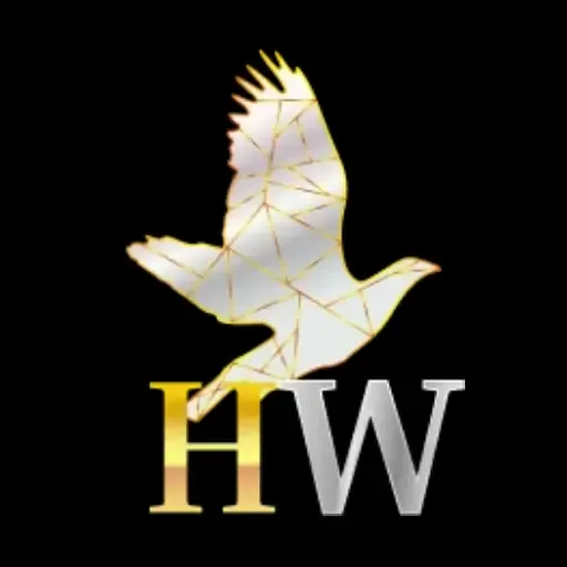 HIBIKIWIN - Game TPS Seru dan Menantang